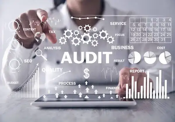 Audit & IT Consulting Services