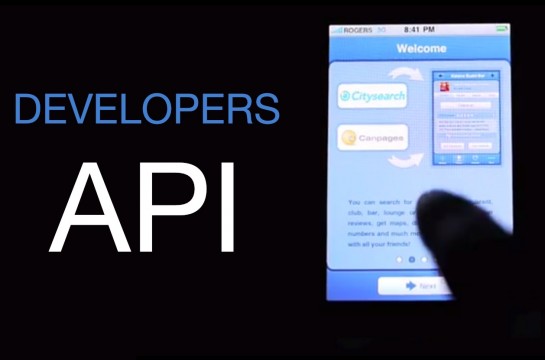 API Developers